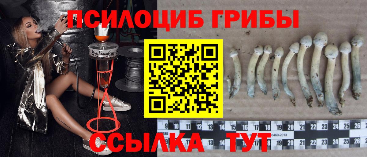 Галлюциногенные грибы ЛСД  Вход с VPN  Шахты 